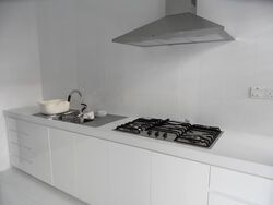 Serangoon Garden Estate (D19), Semi-Detached #639519611